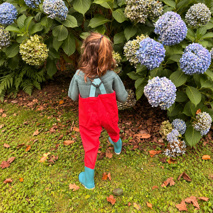 Puddleproofs Wader - Red/Light Blue